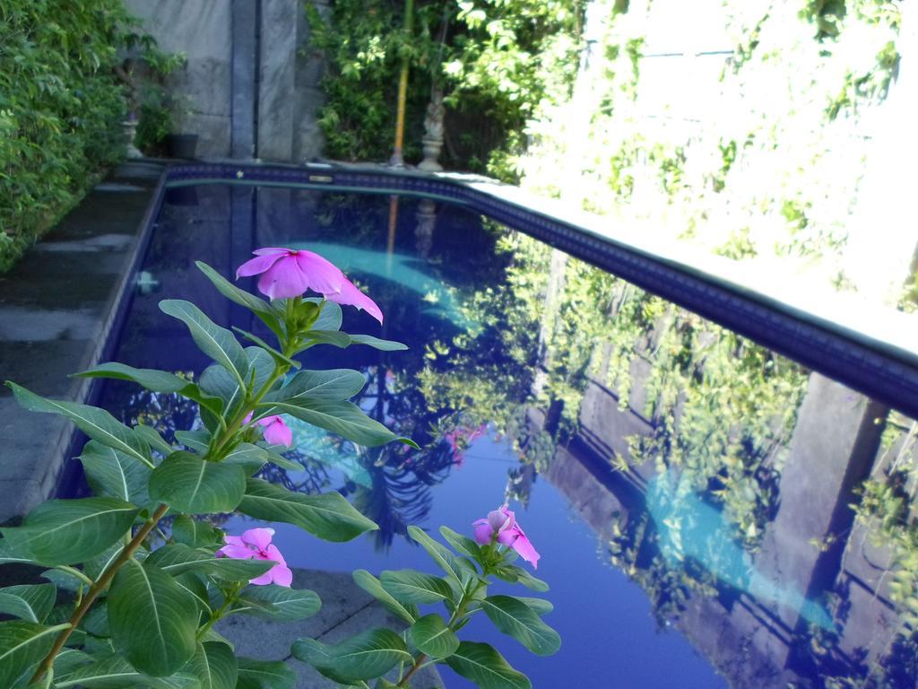 Bali Aman Darling House Otel Canggu Dış mekan fotoğraf