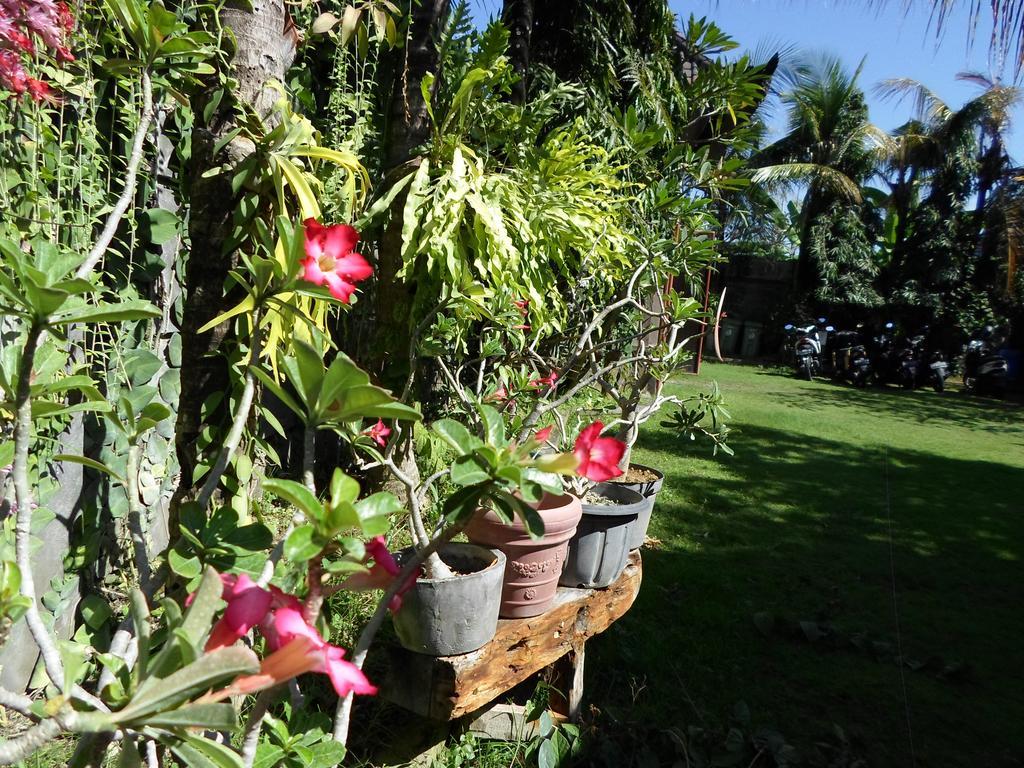 Bali Aman Darling House Otel Canggu Dış mekan fotoğraf