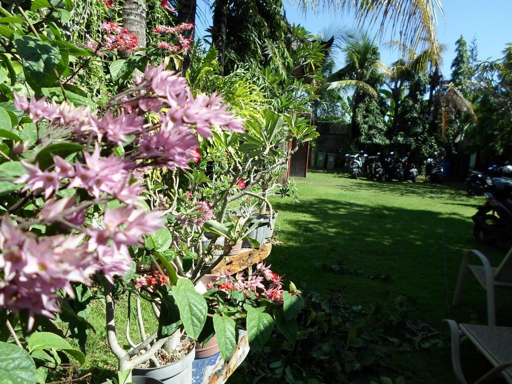 Bali Aman Darling House Otel Canggu Dış mekan fotoğraf